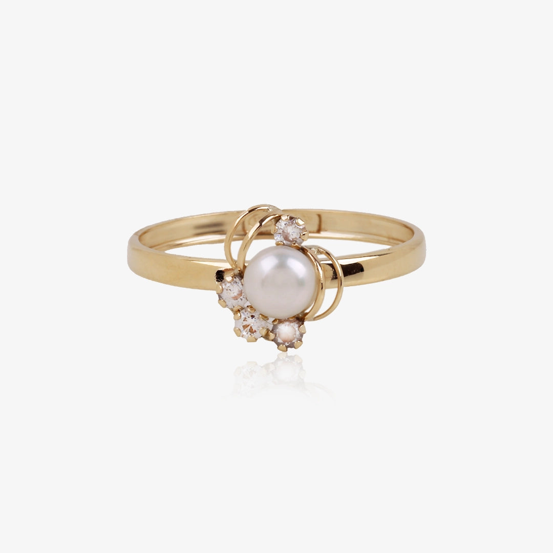 Anillo Camino