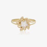 Anillo Ceci
