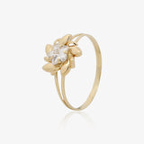 Anillo Ceci