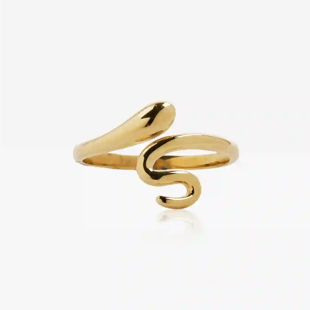 Anillo Serpiente