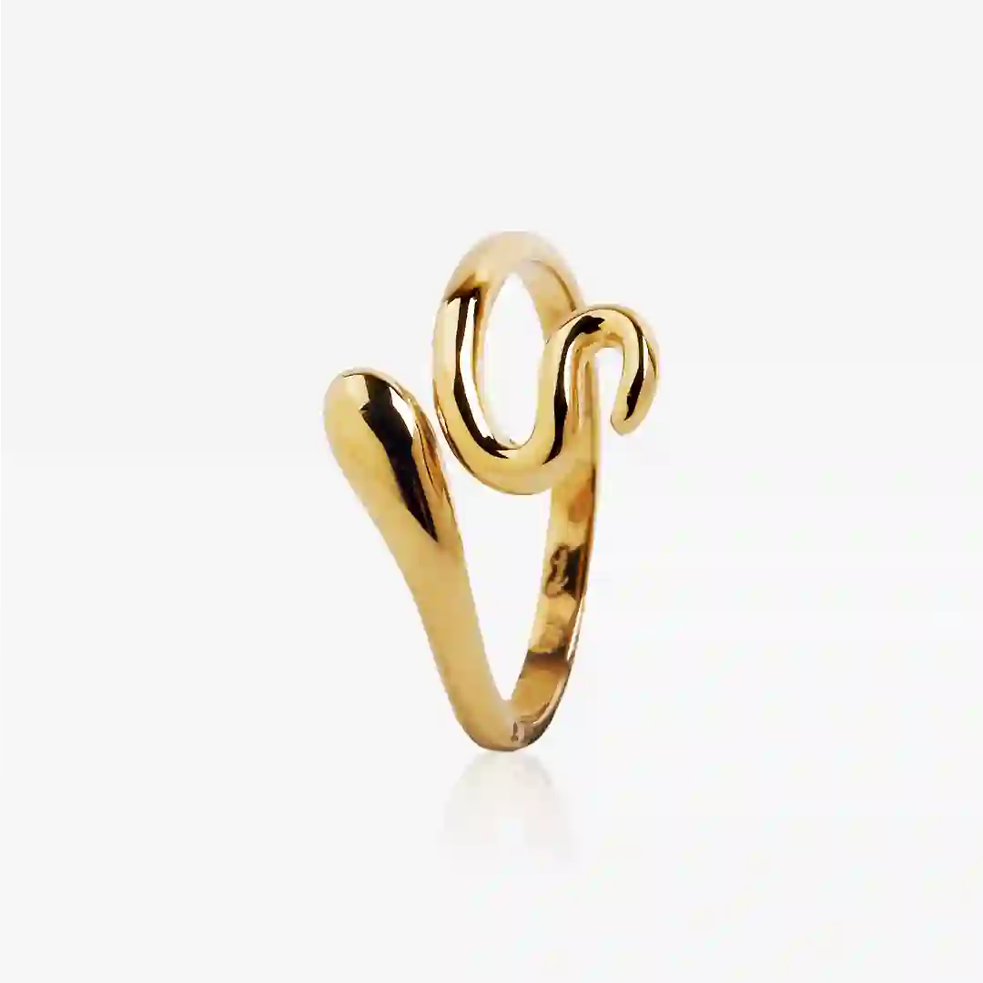 Anillo Serpiente