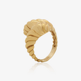 Anillo Gallones
