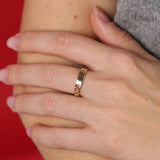 Anillo Dualis