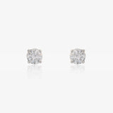 Pendientes DC 4 Garras