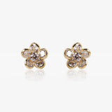 Pendientes Chiara