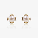 Pendientes PERLA