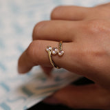 Anillo Briolet