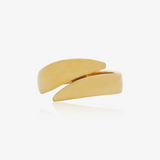 Anillo Bandas