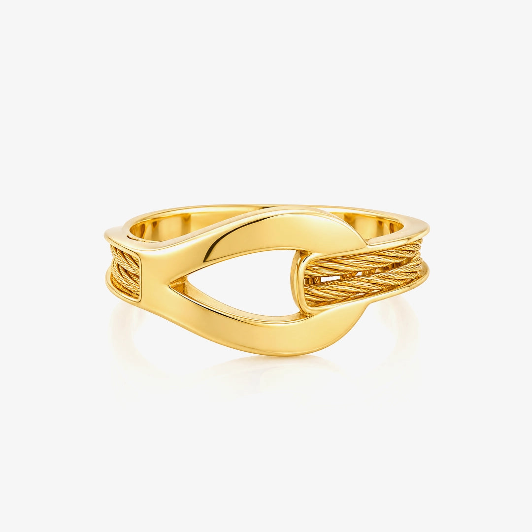 Anillo Nudo