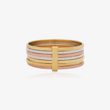 Anillo Tricolor Semanario