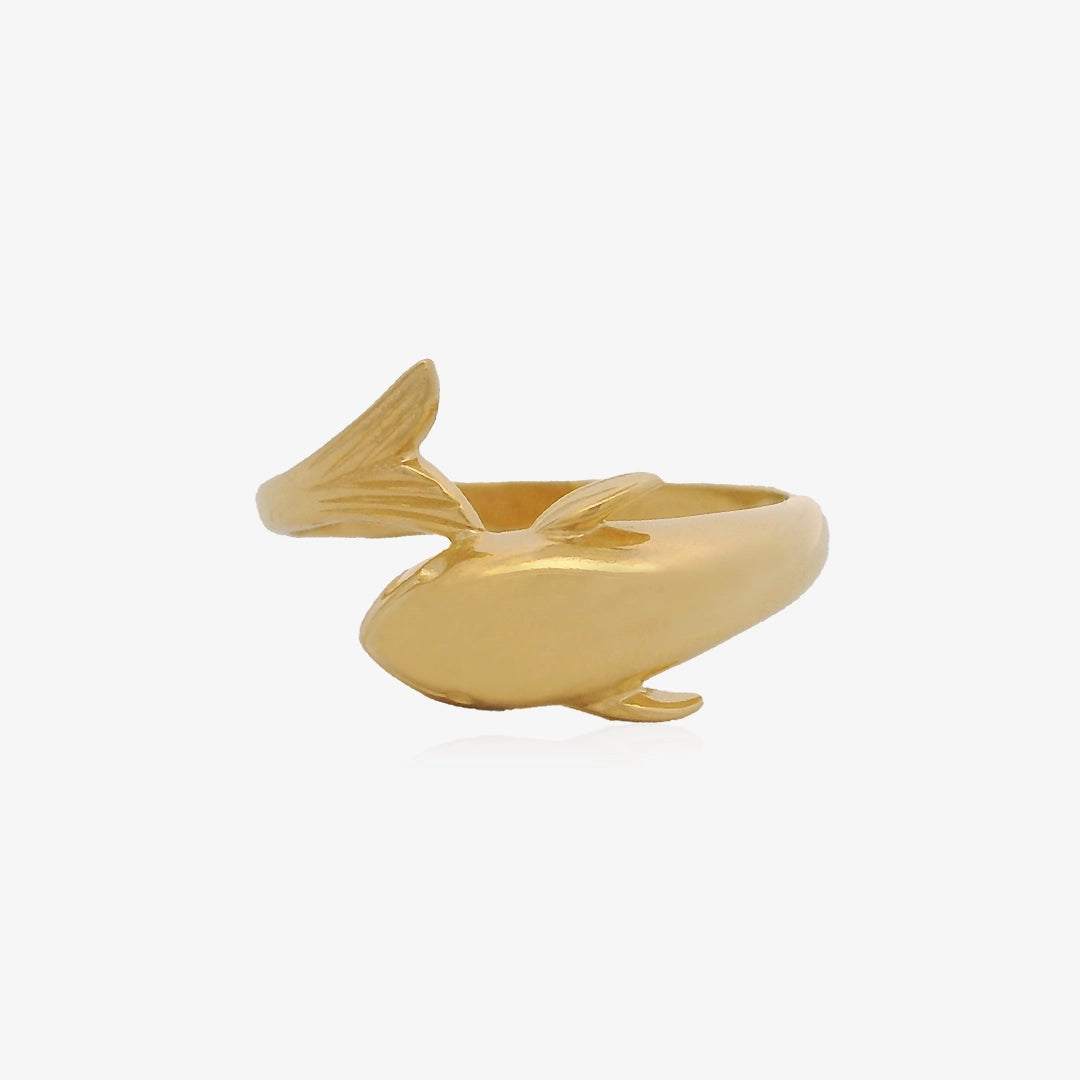 Anillo Delfín