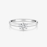 Anillo Cinqueterre