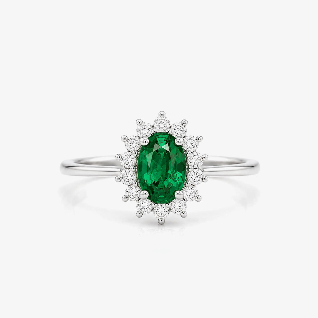 Anillo Dinastia