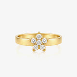 Anillo Estrella