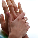 Anillo Dualis