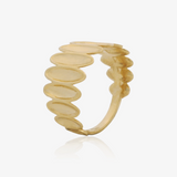 Anillo Vainas