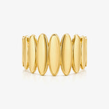 Anillo Vainas