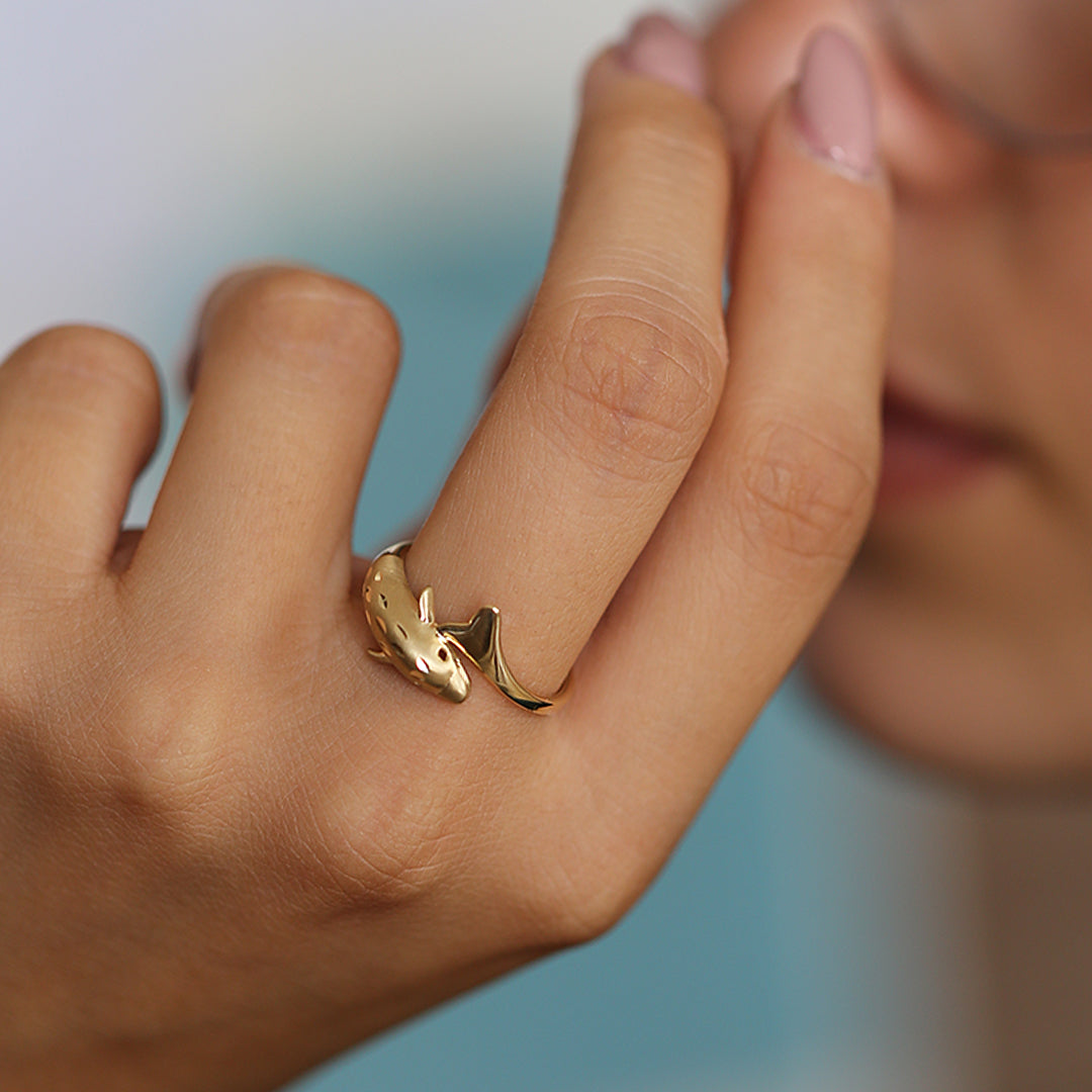 Anillo Delfín