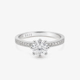 Anillo Circonitas Central