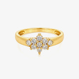 Anillo Piedras Roseta