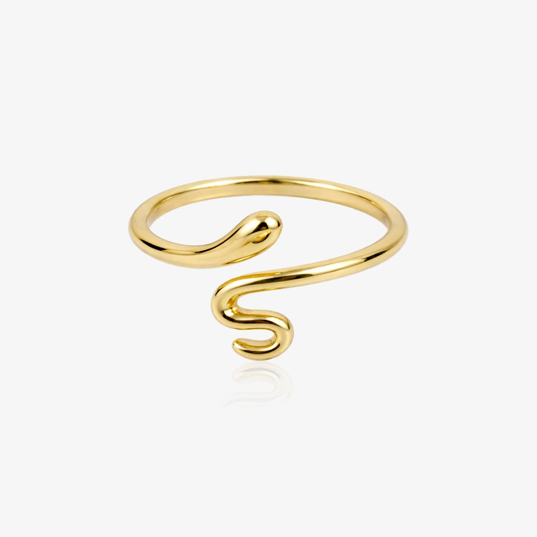Anillo Snake