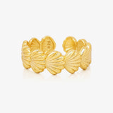 Anillo Conchas