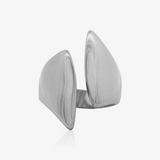 Anillo Escudo
