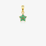 Colgante Estrella circonitas