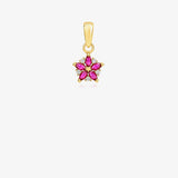 Colgante Estrella circonitas