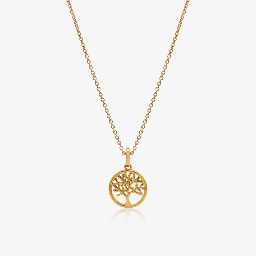 Image Product