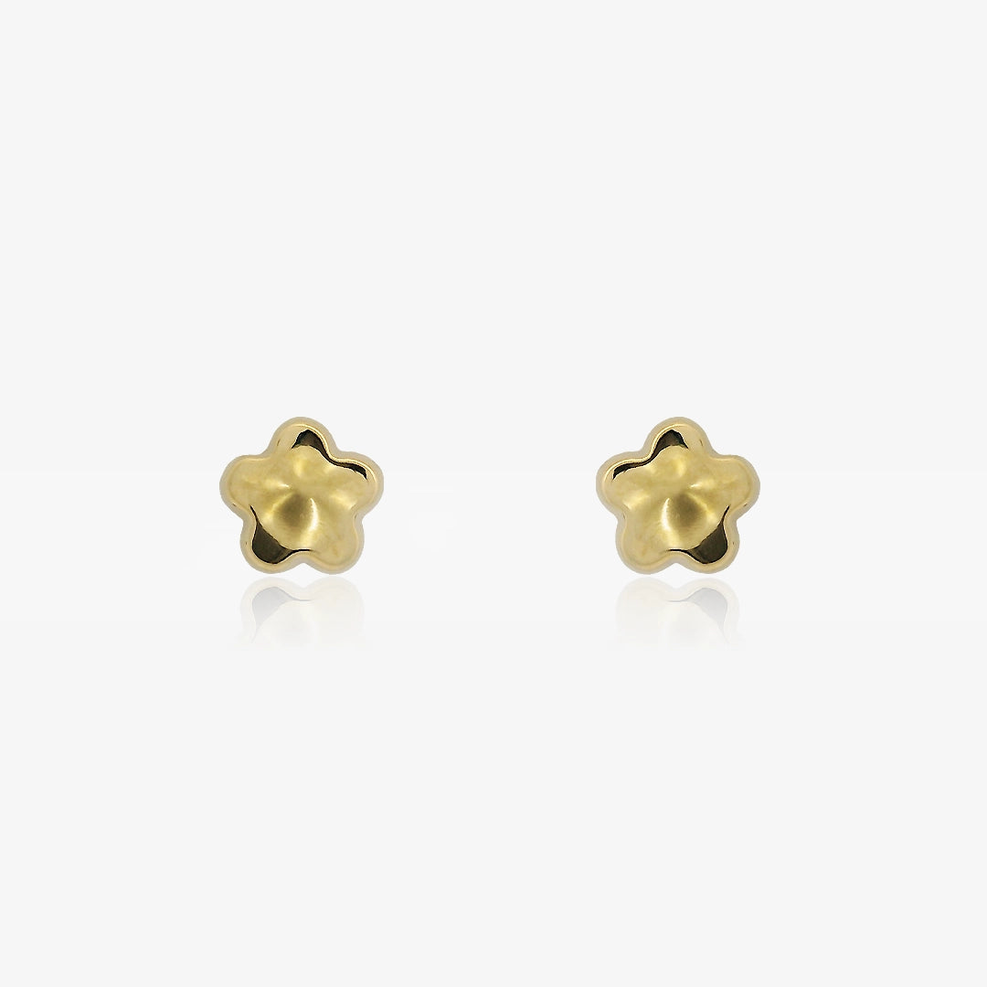 Pendientes Flor Brillo