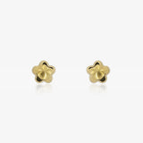 Pendientes Flor Brillo