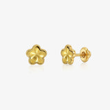 Pendientes Flor Brillo