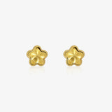 Pendientes Flor Brillo