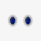 DC Earrings