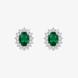 DC Earrings