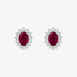DC Earrings