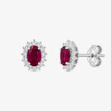 DC Earrings