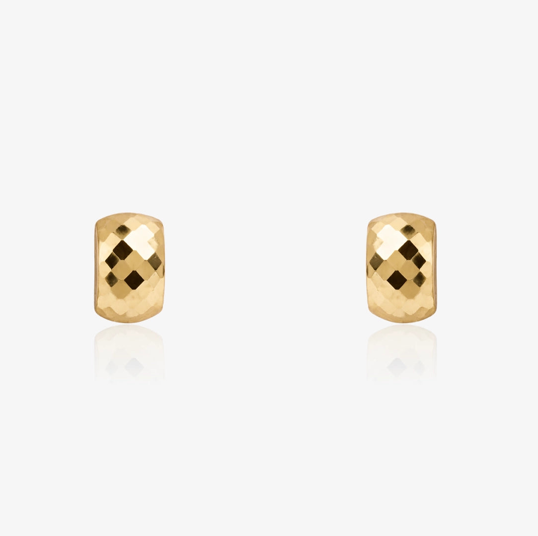 Faceted Earrings