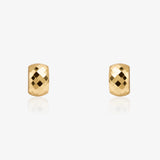 Faceted Earrings