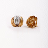 Two-tone shell earring