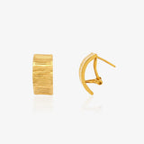 Pendientes Omega