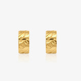 Omega Earrings