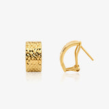Omega Earrings