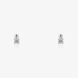 Circus Earrings