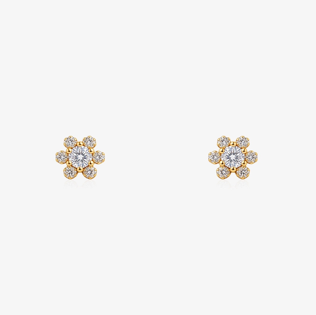 Pendientes Camila
