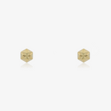 Pendientes Hexágono