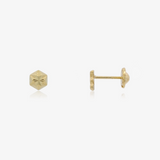 Pendientes Hexágono