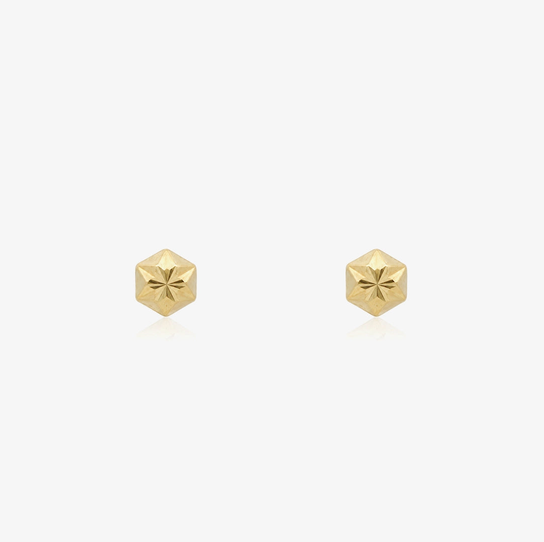 Pendientes Hexágono