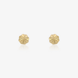 Pendientes Flor Penqueada